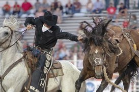 开云平台-袋鼠队在橄榄球冠军锦标赛中的反击战术令人印象深刻，袋鼠大战拳击手