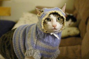 kaiyun开云·官方网站-哈兰德疯狂进球，打破英超单赛季进球纪录，哈兰德进球视频