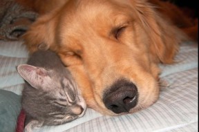 开云电子-“长局鏖战！投手与击球手的极限比拼，精彩不停歇”，投球打手