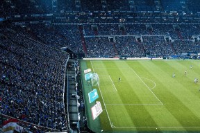 开云网址入口-南非羚羊队：以强硬的防守反击与多点进攻锁定胜局，南非跳羚队